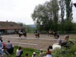 Den koní Borčice