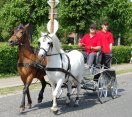 4.ročník Krajského dne - "Já mám koně"