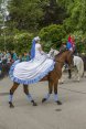 Krajský den koně v Lomnici nad popelkou