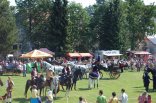 Ochutnávka - Krajský den koně Libereckého kraje v Lomnici nad Popelkou