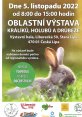 5. 11. 2022 - Oblastní výstava králíků, holubů a drůbeže Česká Lípa 2022