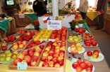 Regionální výstava ovoce a zeleniny