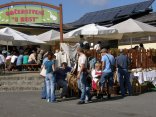 Ochutnávka - Svatováclavský nakupování a výstava ovcí a koz