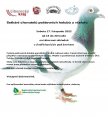 Plakát Setkání chovatelů poštovních holubů a včelařů